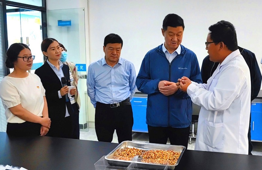 甘肅省地方金融監(jiān)管局、甘肅證監(jiān)局領(lǐng)導(dǎo)蒞臨敦煌種業(yè)調(diào)研指導(dǎo)